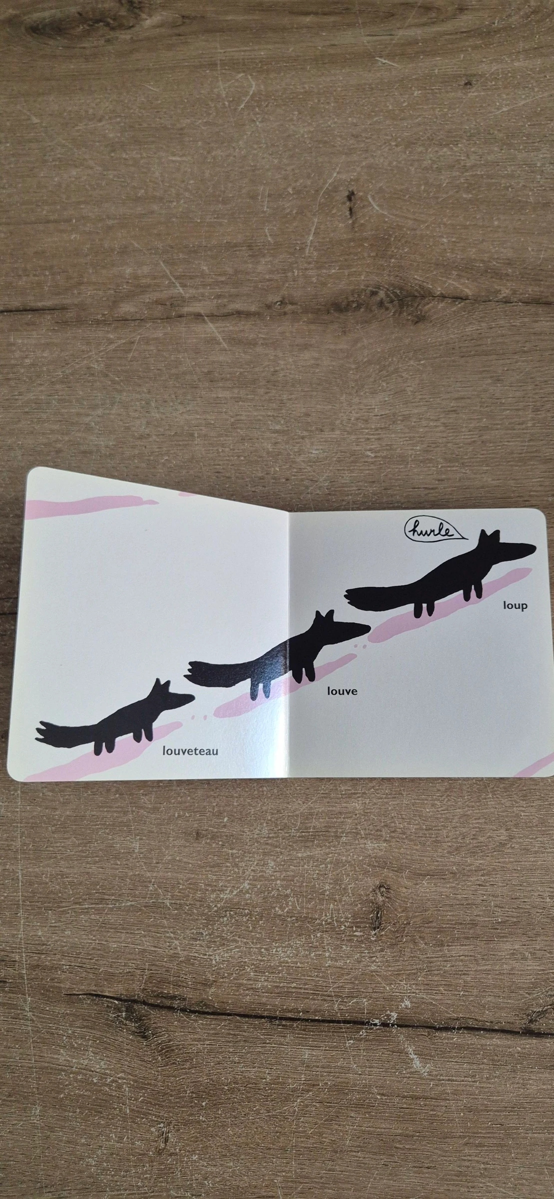 O livro dos gritos – photo 6